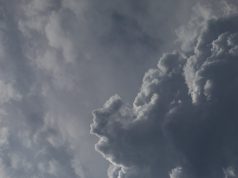 Mp Weather Today:एमपी में ओले-बारिश के बाद कोहरे की चादर, 31 जनवरी से फिर बदलेगा मौसम, दो दिन रहेगा असर – Mp Weather Today: After Hailstorms And Rain In Madhya Pradesh, A Blanket Of Fog Covers The State heavy clouds